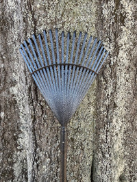 Gardening Saturday: Annual Rake-a-Thon
