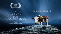 A Prayer For Compassion: Film, potluck and Meet the Director