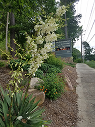 Spring Garden Clean Up