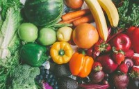 Earth Justice (Plant Based ERUUFians)