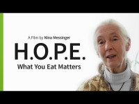 Earth Justice Potluck & Film