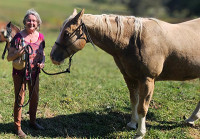 Ministry with Dexter the Horse