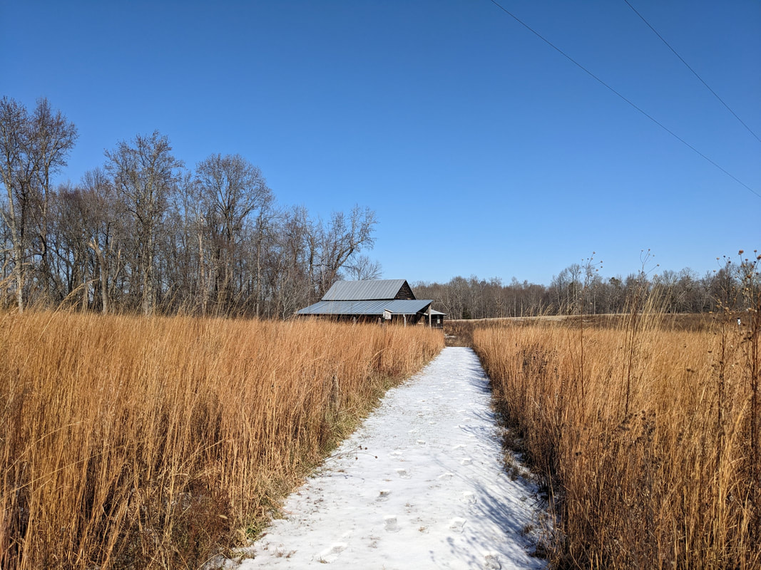 bluestem cemetery earth justice month 2025