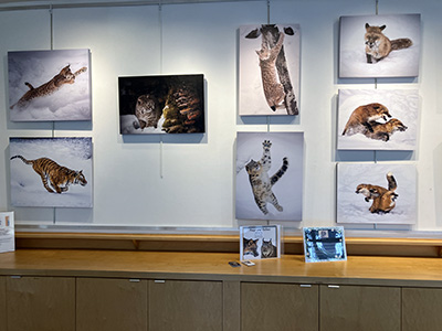 Melissa Theil Art Gallery 