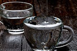 Empty Cup, Full Cup: Practices of Resilience to Sustain Beloved Community